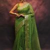 Artful Green Nylon Organza Jacquard Multi Embroidered Saree
