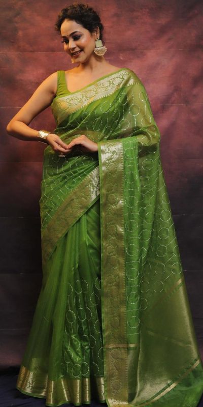 Artful Green Nylon Organza Jacquard Multi Embroidered Saree