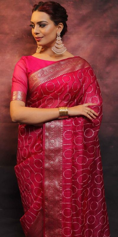 Artful Red Nylon Organza Jacquard Multi Embroidered Saree