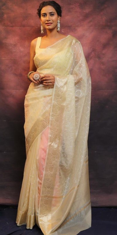Artful White Nylon Organza Jacquard Multi Embroidered Saree