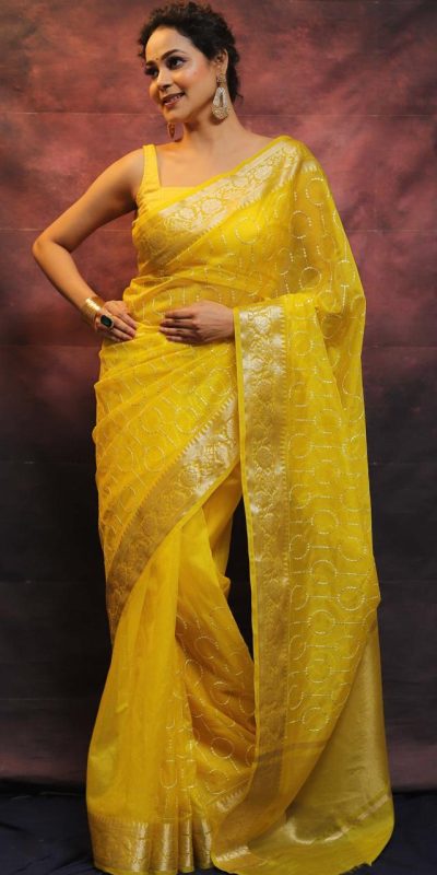 Artful Yellow Nylon Organza Jacquard Multi Embroidered Saree