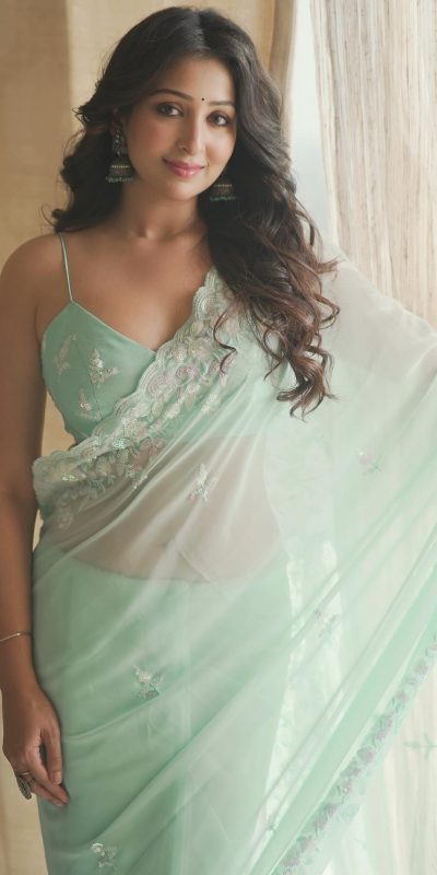Beautiful Light Blue Color Soft Georgette Embroidery Work Saree