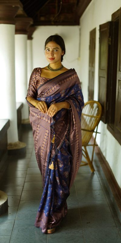 Cute Royal Blue Color Soft Lichi Silk Ordinary Design Pallu Saree