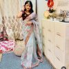 Luminous Ash Blue Color Organza Designer Multi Thread Saree