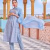 Sublime Light Blue Color Heavy Rayon Embroidery Printed Kurti