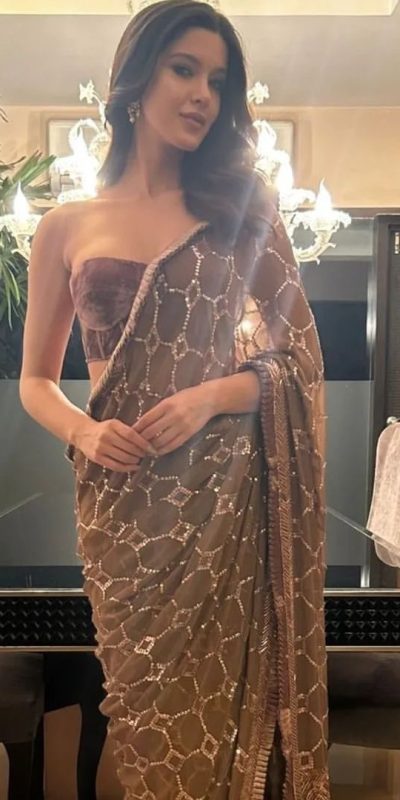 Beautiful Brown Color Georgette Embroidery Sequence Work Saree