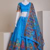 Nice Sky Blue Silk Embroidery Sequins Amazing Print Lehenga Choli