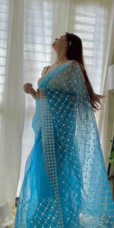 Sublime Blue Color Organza Embroidery Thread Work Saree