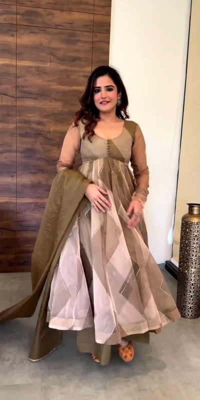 Sublime Brown Tabby Silk Organza Digital Printed Salwar Suit