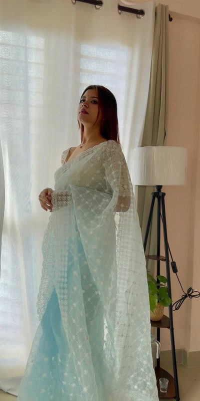 Sublime Sky Blue Color Organza Embroidery Thread Work Saree