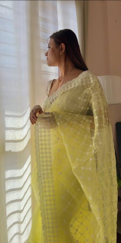 Sublime Yellow Color Organza Embroidery Thread Work Saree
