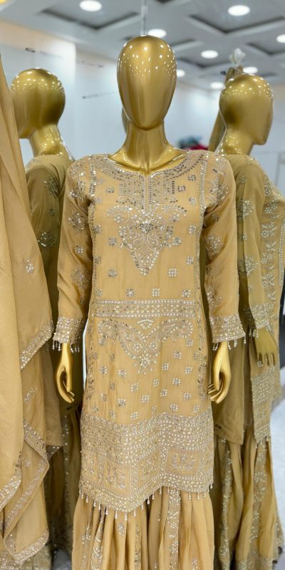 Glamorous Chiku Color Chinnon Embroidery Sequence Salwar Suit
