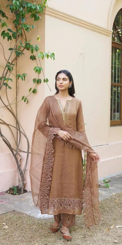 Special Chicco Color Chandhery Silk Embroidery Salwar Suit