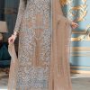 Pretty Light Brown Organza Embroidery Sequence Salwar Suit
