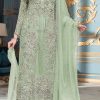 Pretty Light Green Organza Embroidery Sequence Salwar Suit