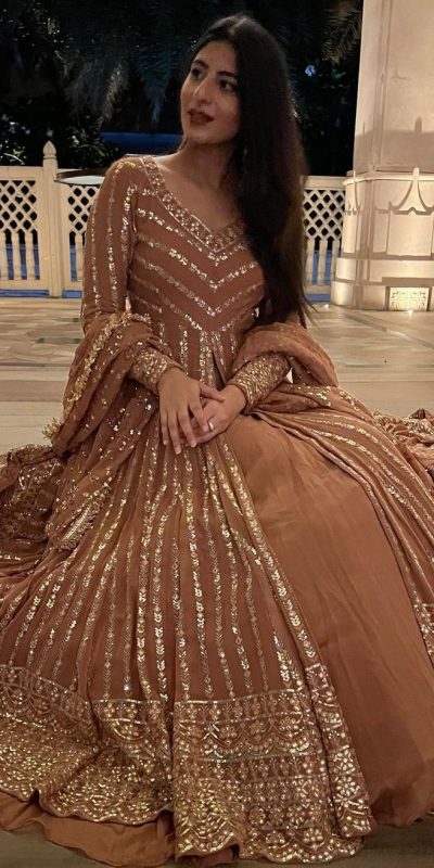 Superb Chiku Color Georgette Thread Sequence Lehenga Choli