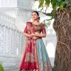 Amazing Red Color Dola Silk Kalamkari Print Zari Border Lehenga Choli