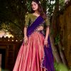 Purple Kanchipuram Weaving Lehenga Choli