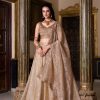 Chiku Gold Crush Plain Lehenga Choli