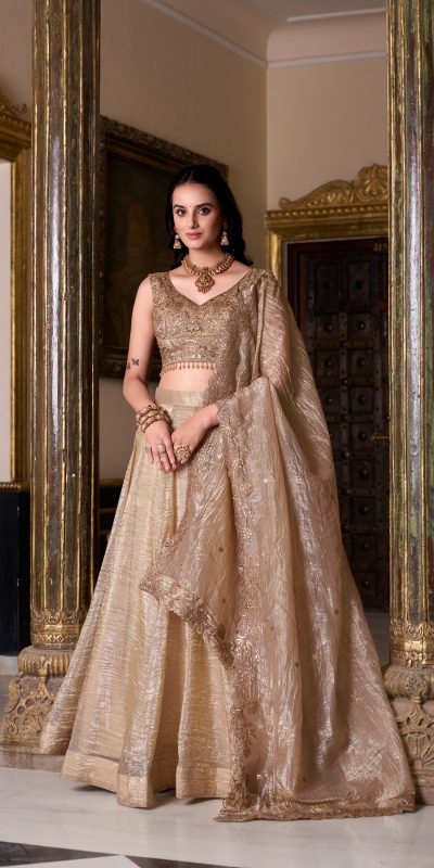 Chiku Gold Crush Plain Lehenga Choli