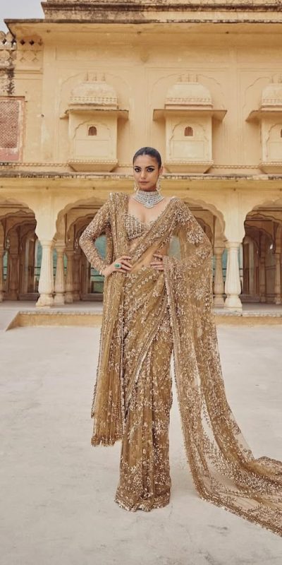 Chiku Mono Net Sequence Saree