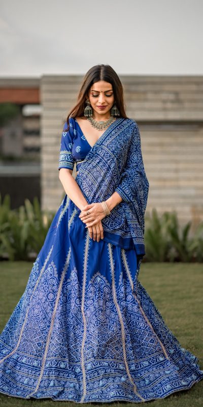 Navy Blue Vaishali Silk Printed Lehenga Choli
