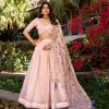 Light Pink Gold Crush Sequins Lehenga Choli