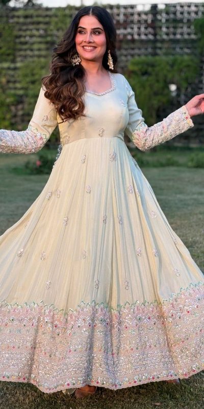 Off White Georgette With Embroidery Gown