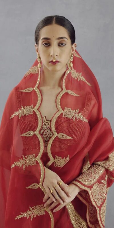 DF Queen Red Organza Tissue Saree with Sequins Work & Embroidery. Festive Deal ₹2499. Delivery 4-6 Working Days. Shop now. | Designer Sarees, Embroidered Sarees, Sarees, Bollywood Sarees, Creative Sarees, Ethnic Saree, Modern Digital sarees, Party Wear Sarees