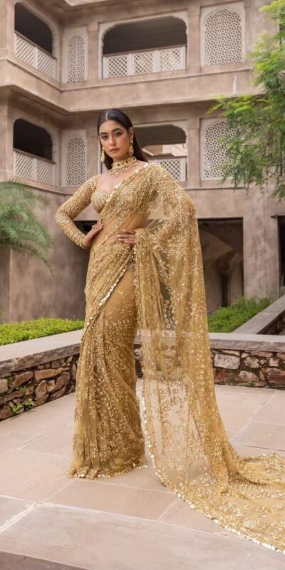 Chiku Nylon Butterfly Net Border Lace Work Saree