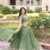 Pista Gold Crush Embroidery Zari Work Lehenga Choli