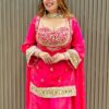 Pink Cosmos Embroidery Mirror Work Salwar Suit