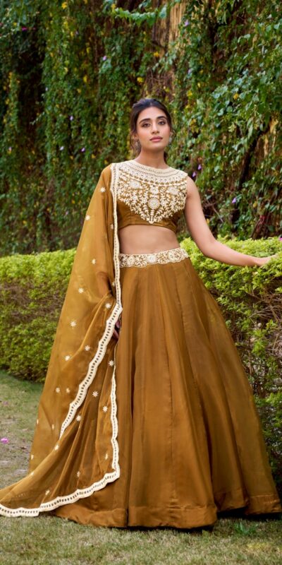 Mastered Chanda Silk Sequins Work Lehenga Choli