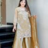 Brown Jimmy Choo Embroidery Lace Work Salwar Suit