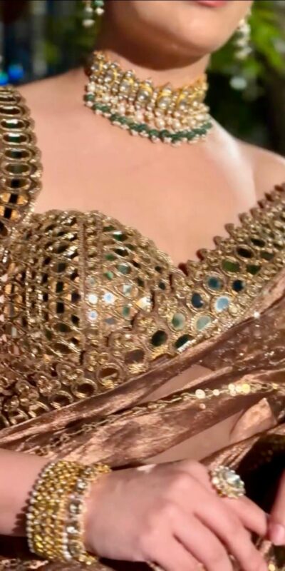 BT 413 Mustered Organza Silk Saree with Mirror Work & Embroidery Work. Introductory Price ₹1999. Delivery 4-6 Working Days. Shop now. | Sarees, Bollywood Sarees, Creative Sarees, Designer Sarees, Embroidered Sarees, Ethnic Saree, Modern Digital sarees, Party Wear Sarees