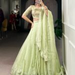 Pista Allen Crush Bead Sequins Work Lehenga Choli