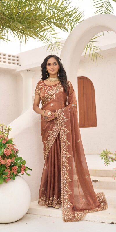 Rust Fandy Chiffon Embroidery Cut Work Saree