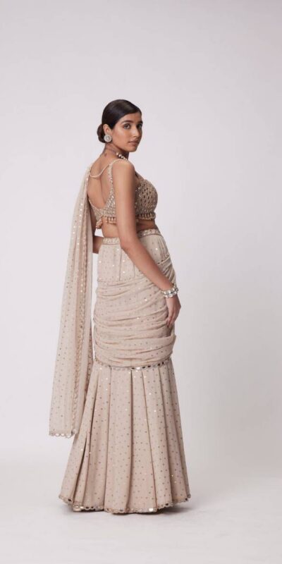 BD 1821 Chiku in Faux Georgette Mirror Work Saree . Wedding, Party, Festive, Events, Grab it for ₹2499. Delivery 4-6 Working Days. Shop now. | Designer Sarees, Sarees, Bollywood Sarees, Creative Sarees, Embroidered Sarees, Ethnic Saree, Modern Digital sarees, Party Wear Sarees