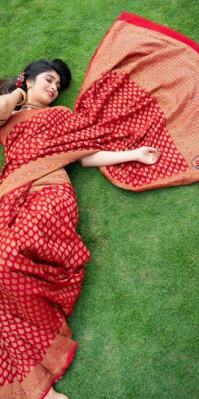 KPR 174 Red in Color Soft Lichi Silk Lace Work & Lace Border Saree . Special Price ₹1349. Delivery 4-6 Working Days. Shop now. | Designer Sarees, Sarees, Bollywood Sarees, Creative Sarees, Embroidered Sarees, Ethnic Saree, Modern Digital sarees, Party Wear Sarees