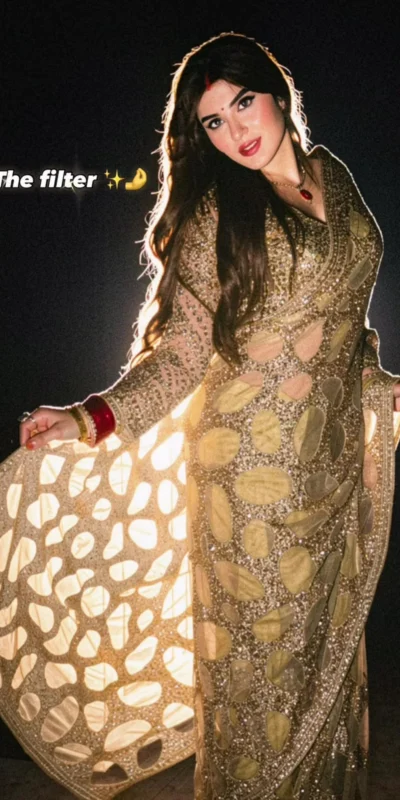 DF 3489 Golden Butterfly Net Saree Sequence with Work & Zari Work. Introductory Price ₹1899. Delivery 4-6 Working Days. Shop now. | Designer Sarees, Modern Digital sarees, Sarees, Bollywood Sarees, Creative Sarees, Embroidered Sarees, Ethnic Saree, Party Wear Sarees