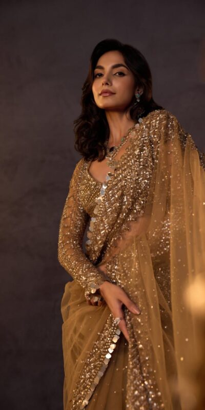 DF 3485 Chiku Butterfly Net Saree Sequence with Work & Zari Work. Introductory Price ₹1999. Delivery 4-6 Working Days. Shop now. | Designer Sarees, Modern Digital sarees, Sarees, Bollywood Sarees, Creative Sarees, Embroidered Sarees, Ethnic Saree, Party Wear Sarees