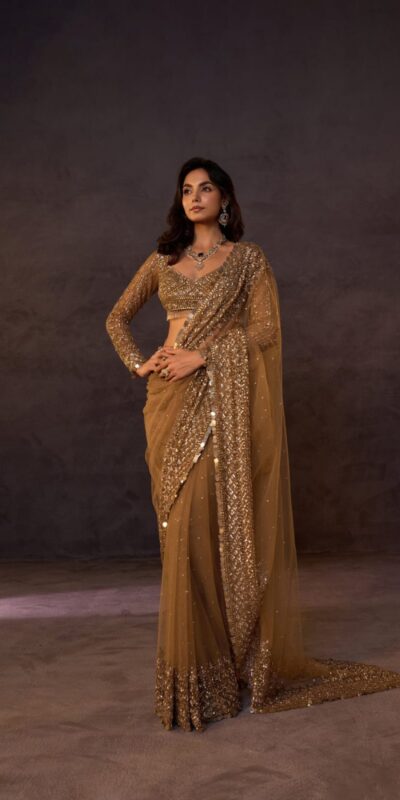 DF 3485 Chiku Butterfly Net Saree Sequence with Work & Zari Work. Introductory Price ₹1999. Delivery 4-6 Working Days. Shop now. | Designer Sarees, Modern Digital sarees, Sarees, Bollywood Sarees, Creative Sarees, Embroidered Sarees, Ethnic Saree, Party Wear Sarees