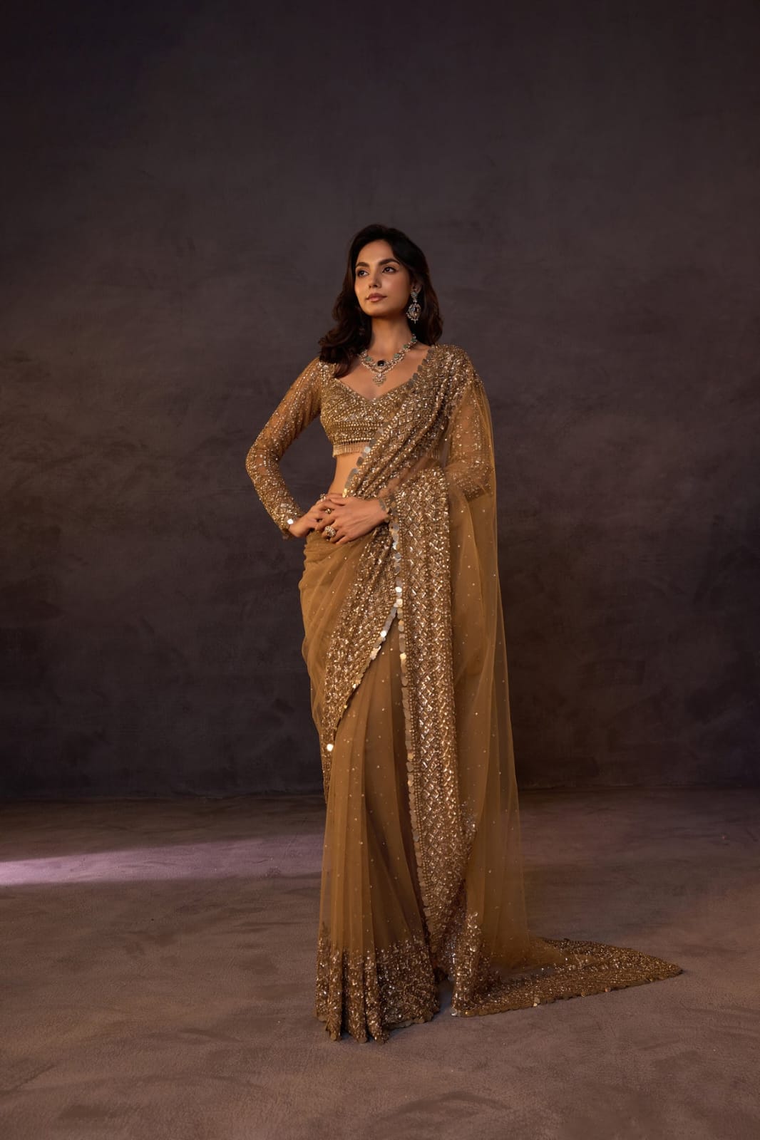 DF 3485 Chiku Butterfly Net Saree Sequence with Work & Zari Work. Introductory Price ₹1999. Delivery 4-6 Working Days. Shop now. | Designer Sarees, Modern Digital sarees, Sarees, Bollywood Sarees, Creative Sarees, Embroidered Sarees, Ethnic Saree, Party Wear Sarees