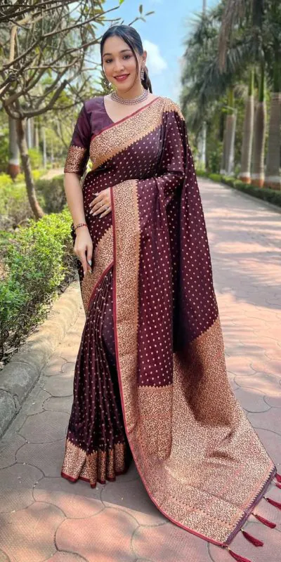 MS 436 Maroon Color Soft Lichi Silk Border And Rich Pallu Saree Casual, Party Wear, Wedding, Events, Etc. Expected Delivery 4-6 Working Days 1399/- | Designer Sarees, Sarees, Bollywood Sarees, Creative Sarees, Embroidered Sarees, Ethnic Saree, Modern Digital sarees, Party Wear Sarees