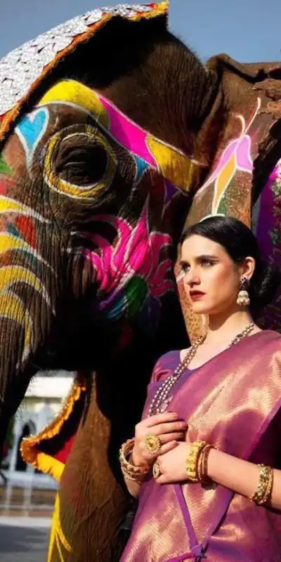 KP 5054  Pink Color Soft Lichi Silk Jacquard Rich Pallu Saree Casual, Party Wear, Wedding, Events Etc. Expected Delivery 4-6 Working Days @1349/- | Designer Sarees, Sarees, Bollywood Sarees, Creative Sarees, Embroidered Sarees, Ethnic Saree, Modern Digital sarees, Party Wear Sarees