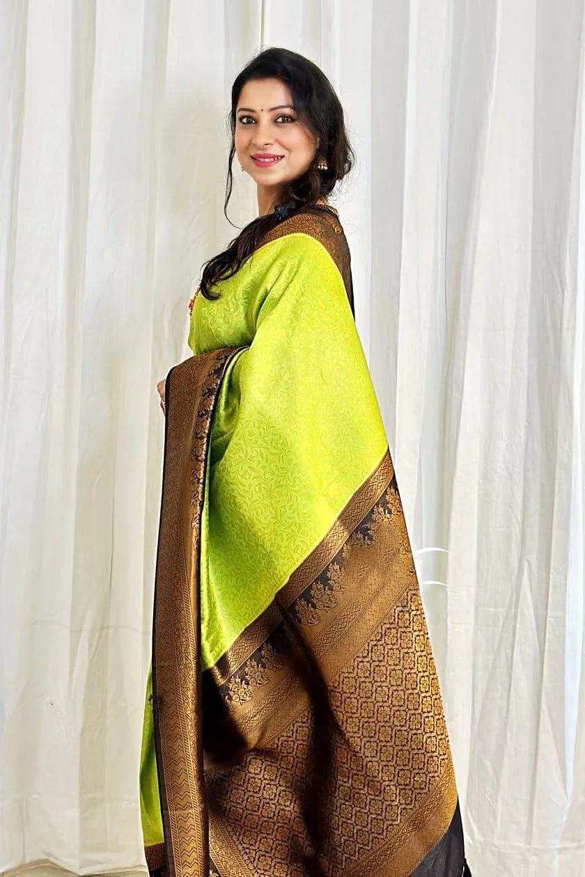 DDF 116 Parrot Green Color Soft Lichi Silk Ordinary Design Rich Pallu Saree Casual, Party Wear, , Festivals Etc. Expected Delivery 4-6 Working Days 1499 | Designer Sarees, Sarees, Bollywood Sarees, Creative Sarees, Embroidered Sarees, Ethnic Saree, Modern Digital sarees, Party Wear Sarees