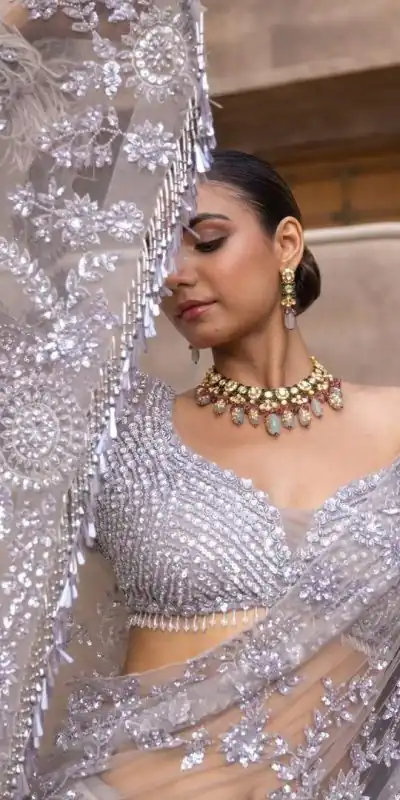 DS BT 387 Silver Color Nylon Butterfly Net Malty & Sequence Saree Wedding, Party, Festive, Events Expected Delivery 4-6 Working Days @ 1699/- | Designer Sarees, Sarees, Bollywood Sarees, Creative Sarees, Embroidered Sarees, Ethnic Saree, Modern Digital sarees, Party Wear Sarees