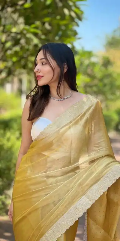 DF Burberry Golden Color Burberry Silk Diamond Sequins Saree Casual, Party Wear, Wedding, Events Etc Delivery Expected.4-6 Working Days 1899/- | Designer Sarees, Embroidered Sarees, Sarees, Bollywood Sarees, Creative Sarees, Ethnic Saree, Modern Digital sarees, Party Wear Sarees