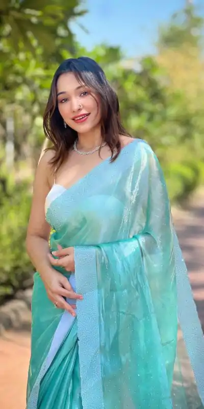 DF Burberry Sea Green Color Burberry Silk Diamond Sequins Saree Casual, Party Wear, Wedding, Events Etc Delivery Expected.4-6 Working Days 1899/- | Designer Sarees, Embroidered Sarees, Sarees, Bollywood Sarees, Creative Sarees, Ethnic Saree, Modern Digital sarees, Party Wear Sarees