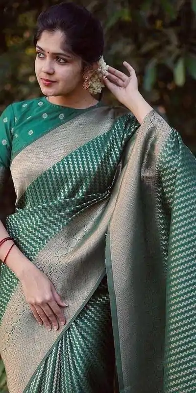 DDF PAYAL GreenColor Soft Lichi Silk Ordinary Design Rich Pallu Saree Casual, Party Wear, Events, Festivals Etc. Expected Delivery 4-6 Working Days 1349/ | Designer Sarees, Embroidered Sarees, Sarees, Bollywood Sarees, Creative Sarees, Ethnic Saree, Modern Digital sarees, Party Wear Sarees